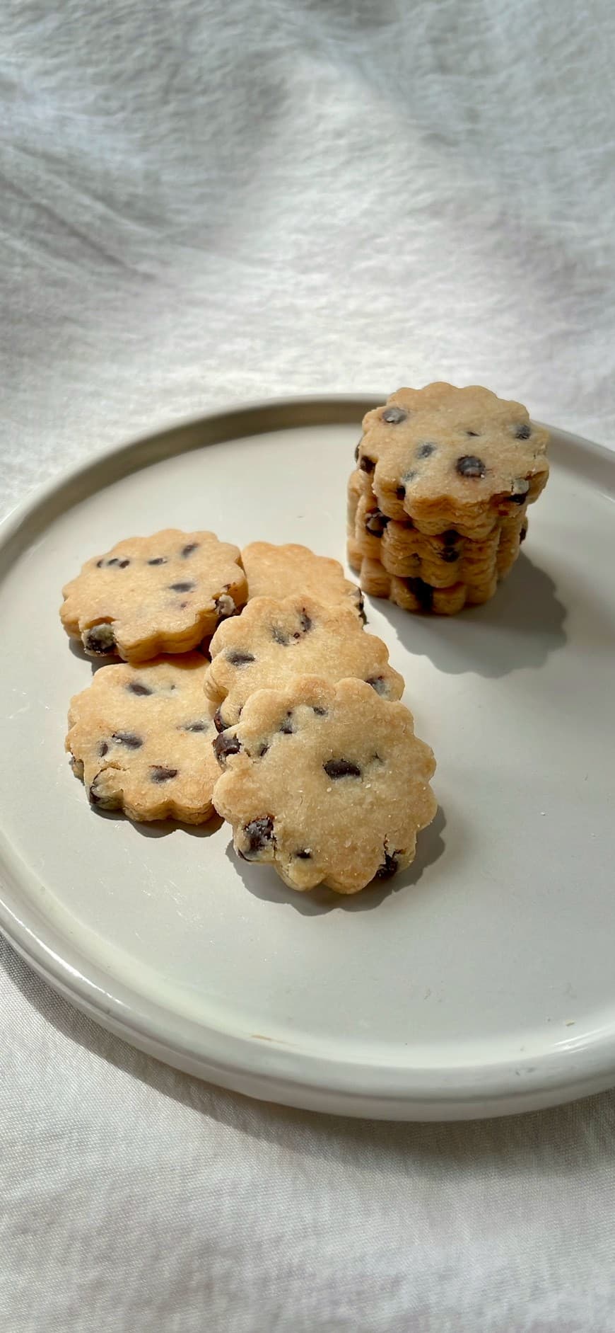 有機チョコチップ